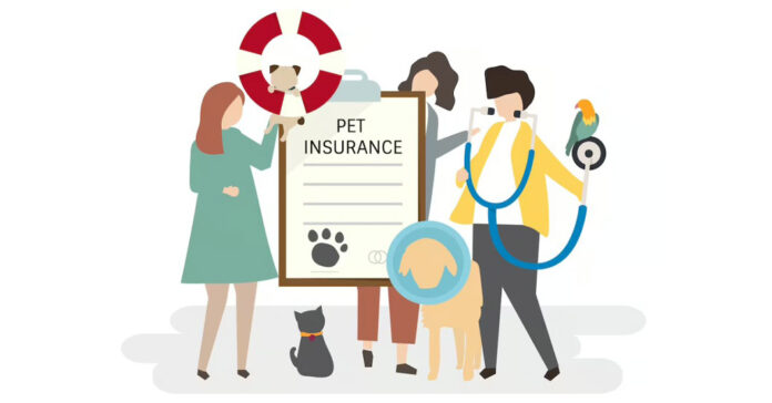 pet insurance