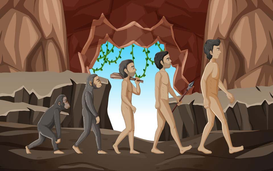 Anthropological