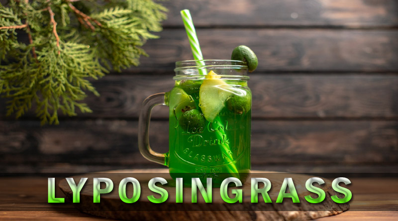 lyposingrass