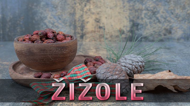 žižole