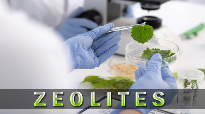 Zeolites